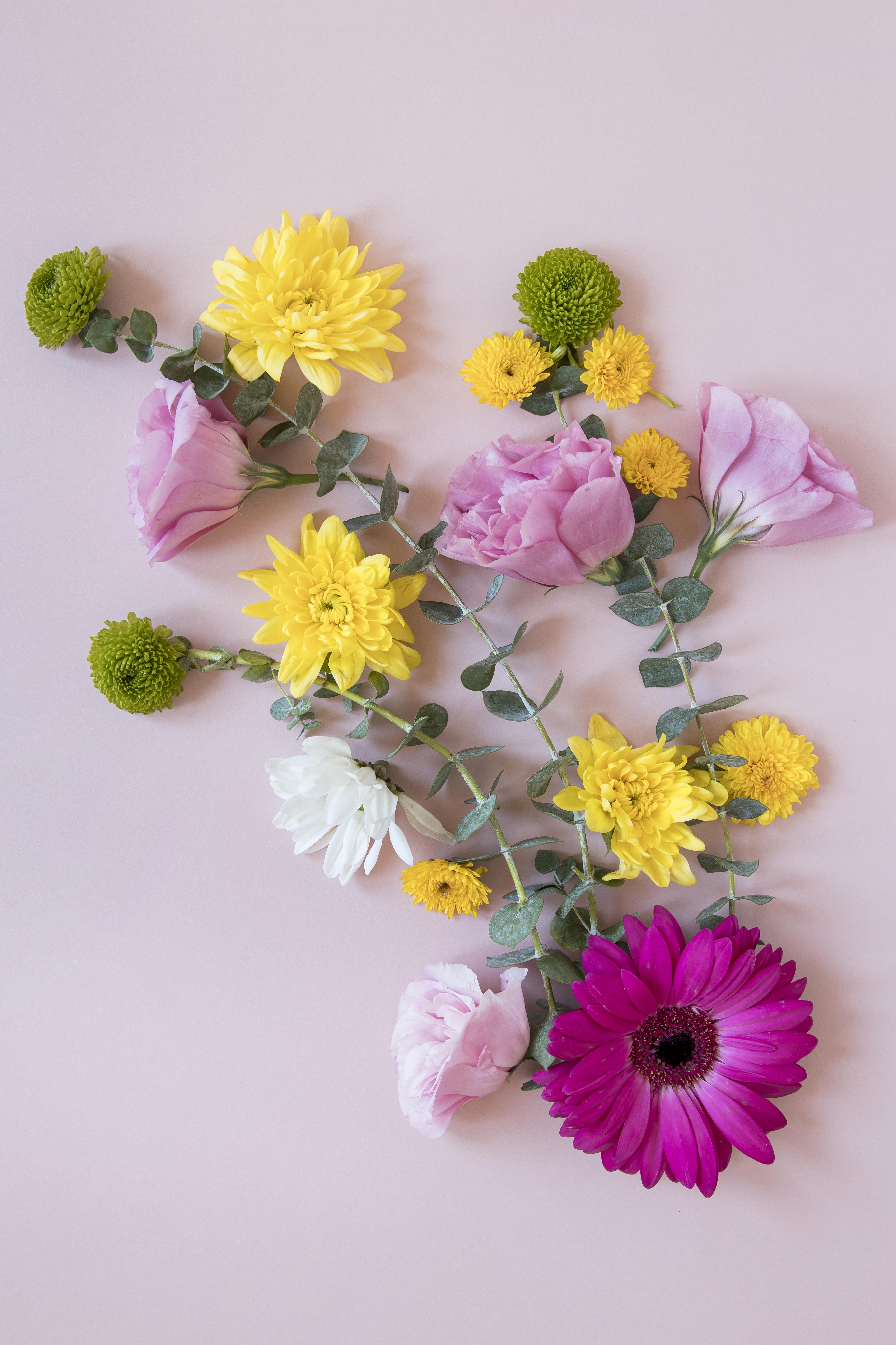 Composición de flores prensadas sobre superficie oscura